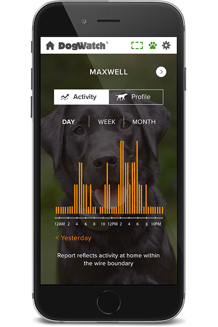dw-phone-activity-2-1x-3 DogWatch of Greater Baltimore, Cockeysville, Maryland | SmartFence WebApp Image