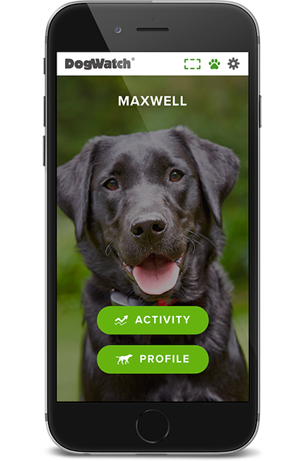 DogWatch of Greater Baltimore, Cockeysville, Maryland | SmartFence WebApp Image