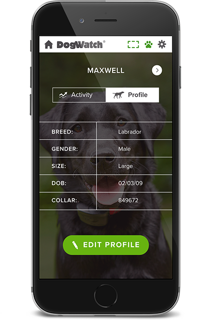 DogWatch of Greater Baltimore, Cockeysville, Maryland | SmartFence WebApp Image